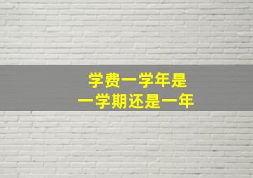 学费一学年是一学期还是一年