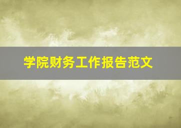 学院财务工作报告范文