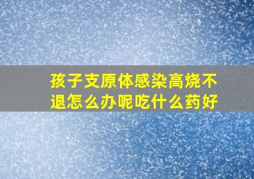 孩子支原体感染高烧不退怎么办呢吃什么药好