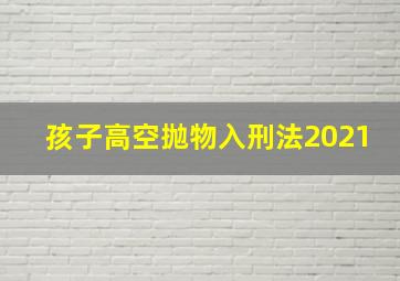 孩子高空抛物入刑法2021