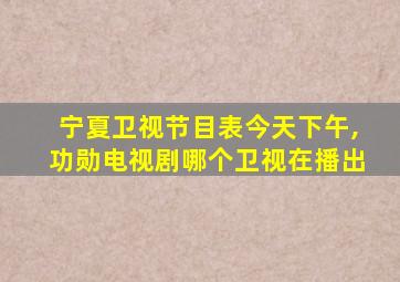 宁夏卫视节目表今天下午,功勋电视剧哪个卫视在播出