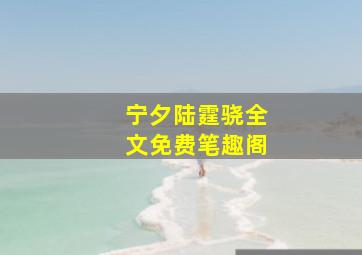 宁夕陆霆骁全文免费笔趣阁