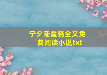 宁夕陆霆骁全文免费阅读小说txt