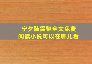 宁夕陆霆骁全文免费阅读小说可以在哪儿看