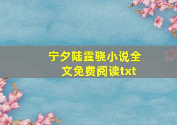 宁夕陆霆骁小说全文免费阅读txt