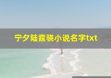 宁夕陆霆骁小说名字txt