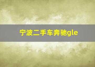 宁波二手车奔驰gle