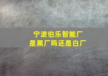 宁波伯乐智能厂是黑厂吗还是白厂