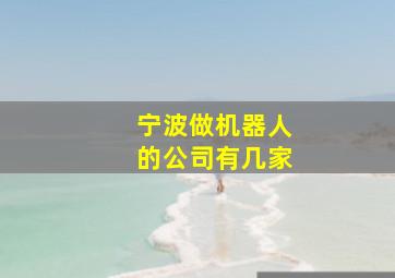 宁波做机器人的公司有几家