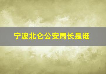 宁波北仑公安局长是谁