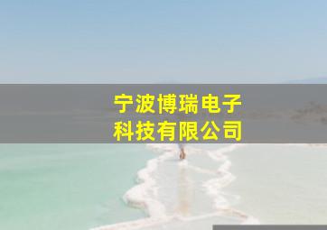 宁波博瑞电子科技有限公司