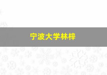 宁波大学林梓