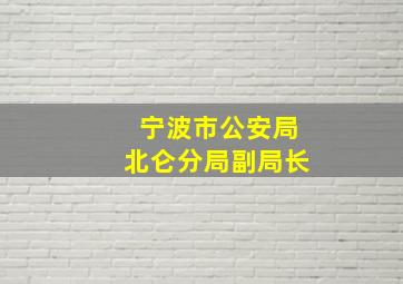 宁波市公安局北仑分局副局长