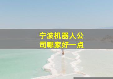 宁波机器人公司哪家好一点