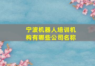 宁波机器人培训机构有哪些公司名称