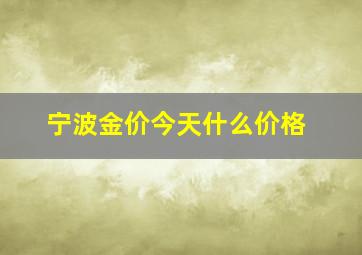 宁波金价今天什么价格