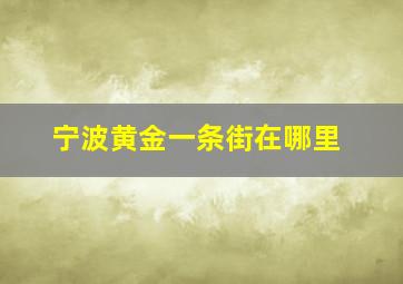 宁波黄金一条街在哪里