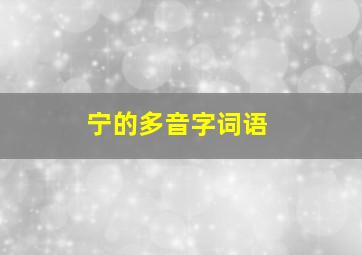 宁的多音字词语