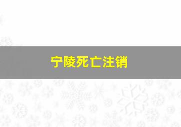 宁陵死亡注销