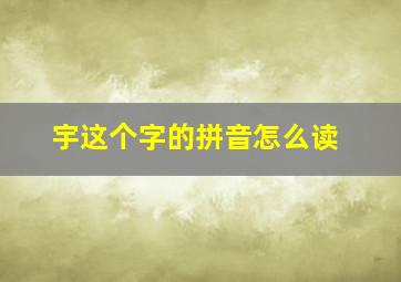 宇这个字的拼音怎么读