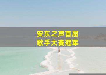 安东之声首届歌手大赛冠军