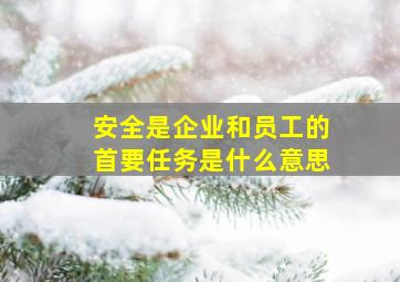 安全是企业和员工的首要任务是什么意思