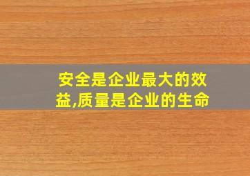 安全是企业最大的效益,质量是企业的生命