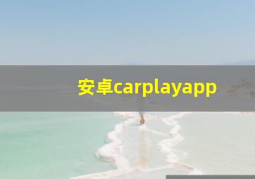 安卓carplayapp