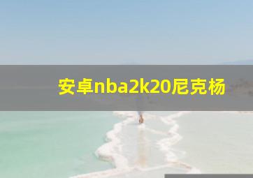 安卓nba2k20尼克杨