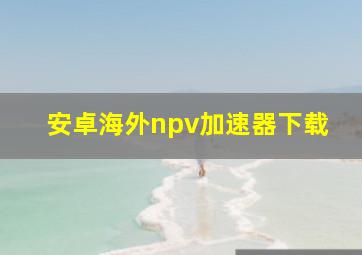 安卓海外npv加速器下载