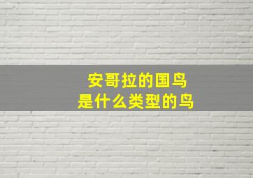 安哥拉的国鸟是什么类型的鸟