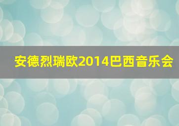 安德烈瑞欧2014巴西音乐会