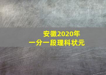 安徽2020年一分一段理科状元