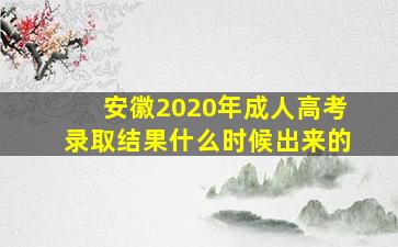 安徽2020年成人高考录取结果什么时候出来的