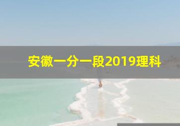 安徽一分一段2019理科