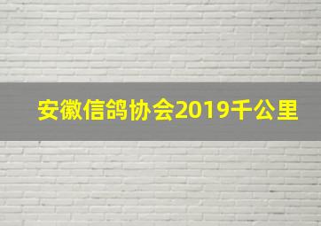 安徽信鸽协会2019千公里