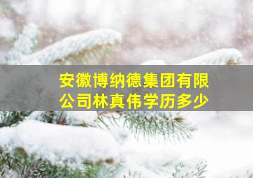 安徽博纳德集团有限公司林真伟学历多少