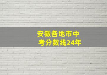 安徽各地市中考分数线24年