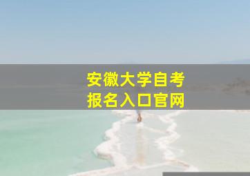 安徽大学自考报名入口官网