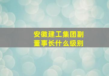 安徽建工集团副董事长什么级别