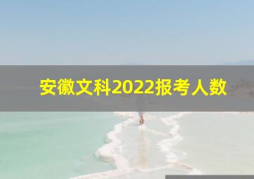 安徽文科2022报考人数