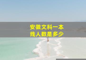 安徽文科一本线人数是多少