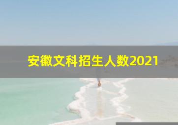 安徽文科招生人数2021