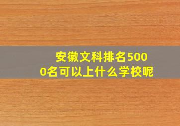 安徽文科排名5000名可以上什么学校呢