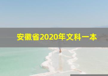 安徽省2020年文科一本