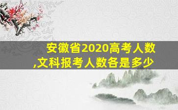 安徽省2020高考人数,文科报考人数各是多少