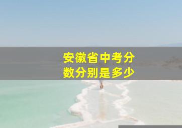 安徽省中考分数分别是多少