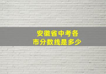 安徽省中考各市分数线是多少