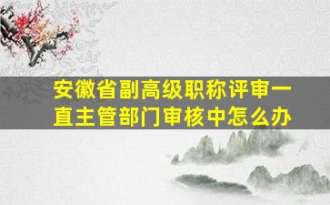 安徽省副高级职称评审一直主管部门审核中怎么办