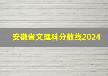 安徽省文理科分数线2024